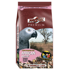 Premium African Parrot